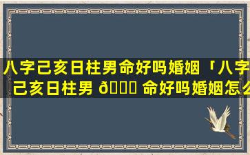 八字己亥日柱男命好吗婚姻「八字己亥日柱男 🕊 命好吗婚姻怎么样」